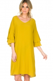 Aaiko |  Dress Key West | yellow  | Picture 2