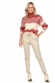 Berenice |  Knitted turtleneck sweater Appoline | red    | Picture 4