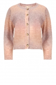Vanessa Bruno |  Knitted cardigan Twila | pink  | Picture 1