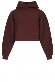 Lune Active |  Sports sweater with logo Nomi | bordeaux  | Picture 1