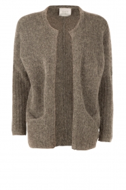 Vest Royes | grijs