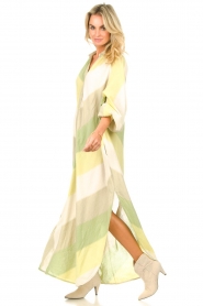 Devotion :  Striped maxi dress Bina | green - img6
