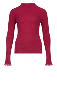 Aaiko |  Ribbed turtleneck sweater Vida | pink