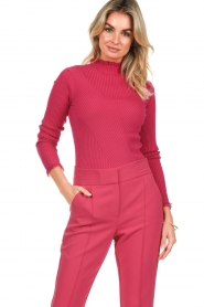 Aaiko |  Ribbed turtleneck sweater Vida | pink  | Picture 2