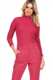 Aaiko |  Ribbed turtleneck sweater Vida | pink  | Picture 6