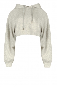 Lune Active | Cropped hoodie Katie | grijs   | Afbeelding 1