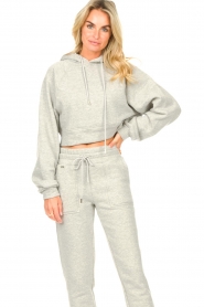 Lune Active | Cropped hoodie Katie | grijs   | Afbeelding 6