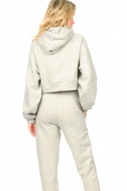 Lune Active | Cropped hoodie Katie | grijs   | Afbeelding 8