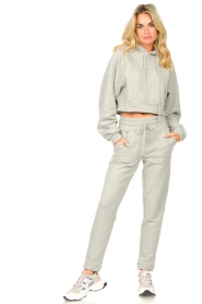 Lune Active | Cropped hoodie Katie | grijs   | Afbeelding 3