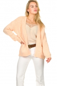 Knit-ted :  Knitted cardigan Bernelle | nude - img5