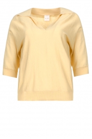 Knit-ted |  Knitted top with polo collar Robyn | yellow