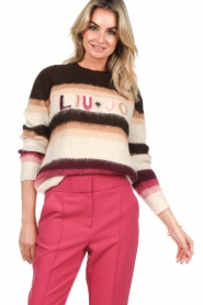 Liu Jo |  Sweater with Liu Jo imprint Lena | camel   | Picture 6