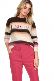 Liu Jo |  Sweater with Liu Jo imprint Lena | camel   | Picture 4