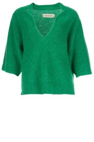 Trui Wanlay | groen