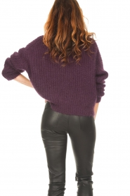 ba&sh |  Knitted zip-up sweater Baltan | purple  | Picture 8