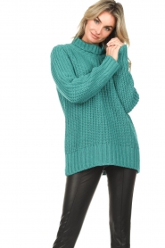 Be Pure :  Knitted turtleneck sweater Elsa | green - img4