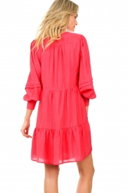 Dante 6 |  Pleated dress Rozalia | pink  | Picture 9