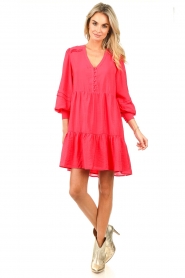 Dante 6 |  Pleated dress Rozalia | pink  | Picture 5