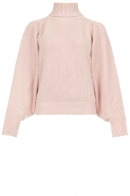  Soft turtleneck with cashmere Ambar | pink