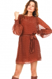 Freebird :  Dress with balloon sleeves Xeni | brown - img2