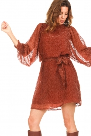 Freebird :  Dress with balloon sleeves Xeni | brown - img5