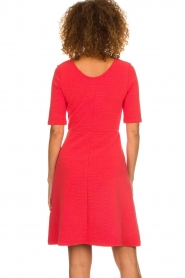 Set |  Skater dress Quinty | red  | Picture 6