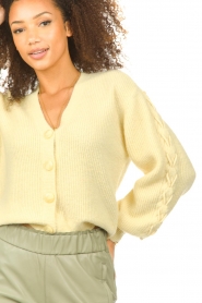 Dante 6 |  Knitted cardigan Rosier | yellow  | Picture 6