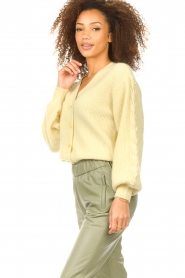 Dante 6 |  Knitted cardigan Rosier | yellow  | Picture 8