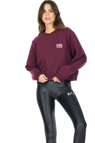 Dolly Sports :  Cropped sweater with shoulder pads Seams | bordeaux - img2