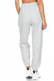 Dolly Sports |  Sweatpants Classic | grey  | Picture 6