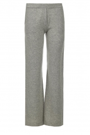  Cashmere trousers Dulcina | grey 