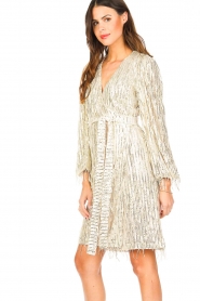 Ibana |  Sequin dress Sangria | soft pearl  | Picture 6