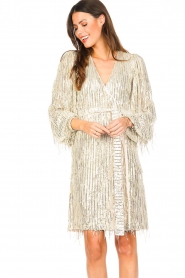 Ibana |  Sequin dress Sangria | soft pearl  | Picture 4