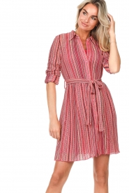 Freebird :  Button-up dress Roza | pink - img4