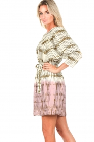 Freebird |  Dress with striped print Brooklynn | pink  | Picture 5