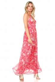 ba&sh |  Printed maxi dress Udalia | pink  | Picture 4