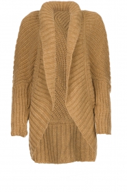Rabens Saloner | Knitted cardigan Becky | camel  | Picture 1
