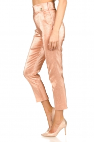 ELISABETTA FRANCHI |  Sparkling trousers Sparkle | pink  | Picture 5