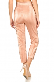 ELISABETTA FRANCHI |  Sparkling trousers Sparkle | pink  | Picture 6