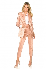 ELISABETTA FRANCHI |  Sparkling trousers Sparkle | pink  | Picture 3