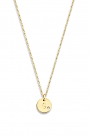 Just Franky |  14kt golden necklace Coin Diamond 40 cm | yellow gold  | Picture 1
