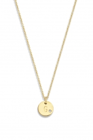 Just Franky | 14kt gouden ketting Coin Diamond 40 cm | geelgoud