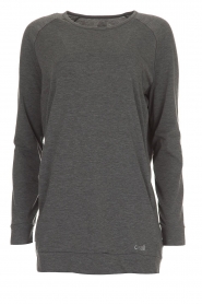 Sweatshirt Crew | grijs
