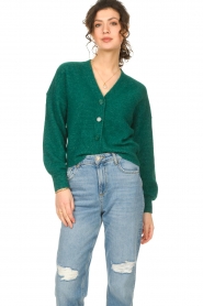 Dante 6 |  Knitted cardigan Mitsey | green  | Picture 5