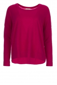 Kasjmieren trui Rosanna | roze