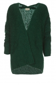 Vest Boolder | groen