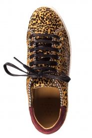 SVNTY | Leather sneakers Praia | print  | Picture 6