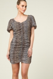 Notes Du Nord |  Leopard dress Fabiola | animal print   | Picture 7