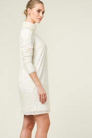 Notes Du Nord |  Sequin dress Fia | naturel  | Picture 7