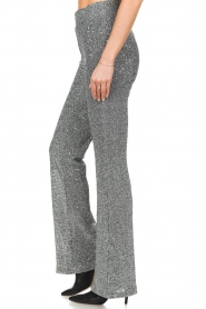 Dante 6 |  Flared sequin pants Pulser | silver  | Picture 5